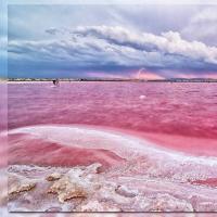 Розовое озеро Ретба в Сенегале (15 фото) Озеро Кояшское, Крым